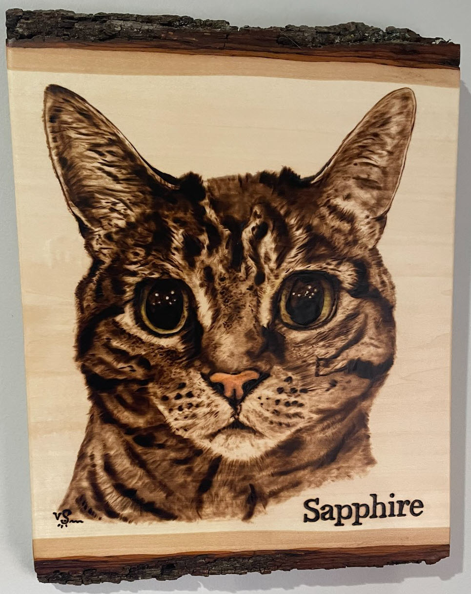 Sapphire- Woodburnings example of cat